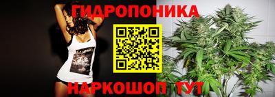 2c-b Камышлов