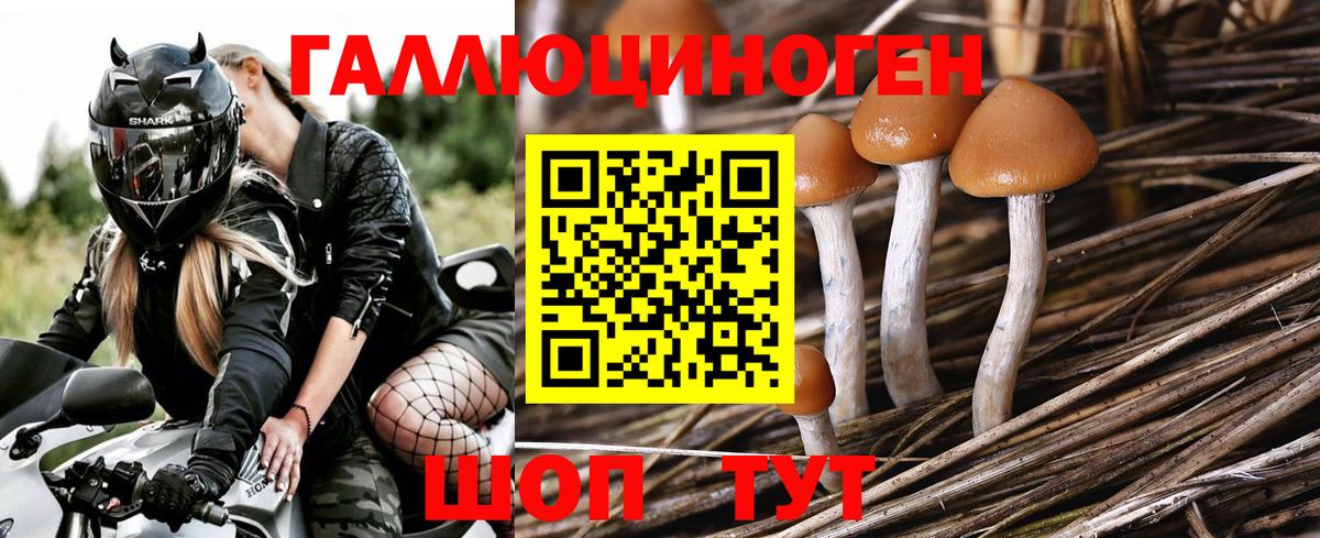 Галлюциногенные грибы MAGIC MUSHROOMS Кропоткин